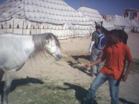 wach bity idarib im3ah